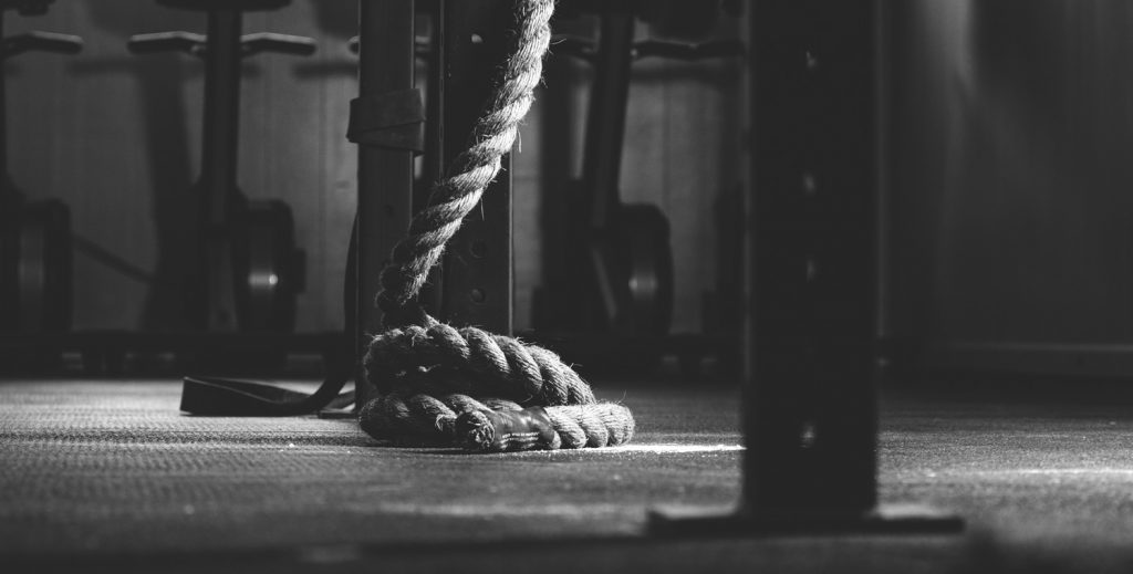 Compétitions endurance